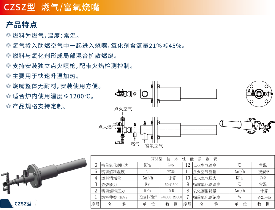 CZSZ型.jpg